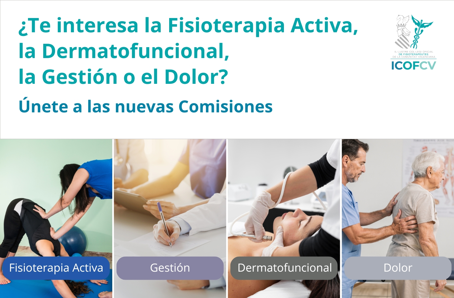 Nuevas Comisiones en el Colegio: Fisioterapia Activa, Gestión, Dermatofuncional y Dolor